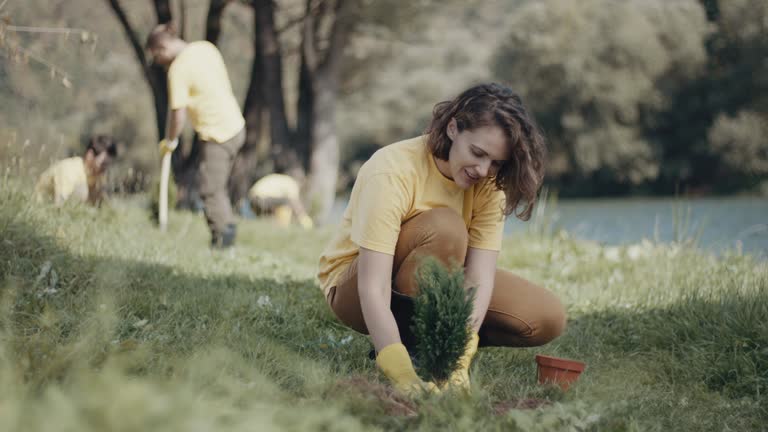 Best Tree Preservation Services  in San Pablo, CA