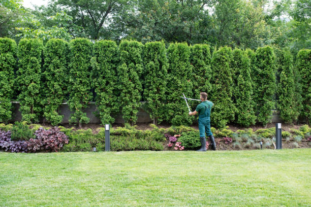 Best Soil Testing and Treatment  in San Pablo, CA